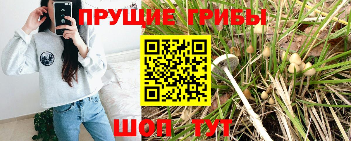 Псилоцибиновые грибы MAGIC MUSHROOMS  Псилоцибиновые грибы мицелий  Зерноград  Вход с VPN 